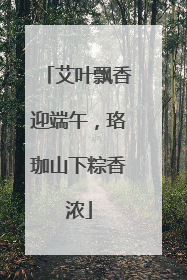 艾叶飘香迎端午，珞珈山下粽香浓