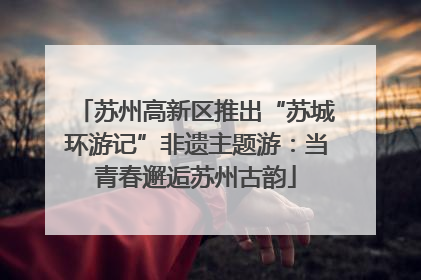 苏州高新区推出“苏城环游记”非遗主题游：当青春邂逅苏州古韵