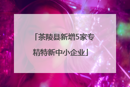 茶陵县新增5家专精特新中小企业