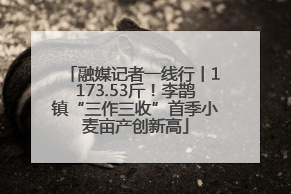 融媒记者一线行丨1173.53斤！李鹊镇“三作三收”首季小麦亩产创新高