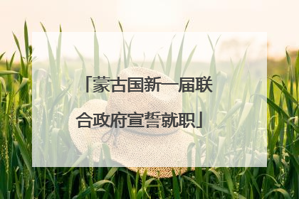 蒙古国新一届联合政府宣誓就职