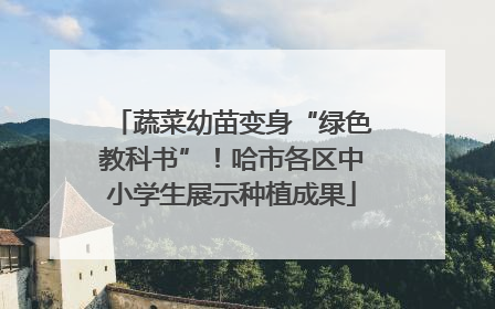 蔬菜幼苗变身“绿色教科书”！哈市各区中小学生展示种植成果