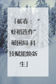 蕲春：“虾稻连作”破困局 科技赋能焕新生
