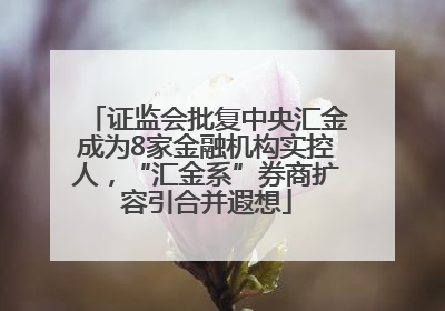 证监会批复中央汇金成为8家金融机构实控人，“汇金系”券商扩容引合并遐想