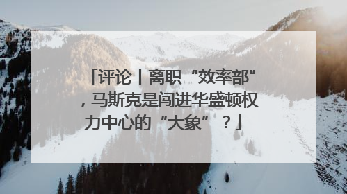 评论丨离职“效率部”，马斯克是闯进华盛顿权力中心的“大象”？