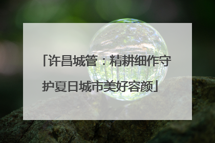 许昌城管：精耕细作守护夏日城市美好容颜