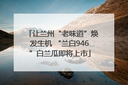 让兰州“老味道”焕发生机 “兰白946”白兰瓜即将上市