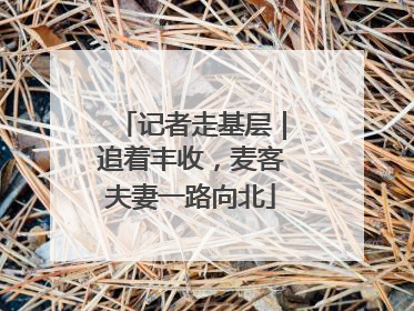 记者走基层｜追着丰收，麦客夫妻一路向北