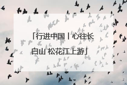 行进中国丨心往长白山 松花江上游