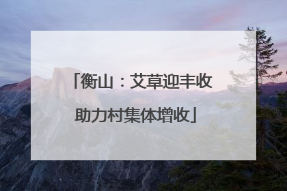 衡山：艾草迎丰收 助力村集体增收