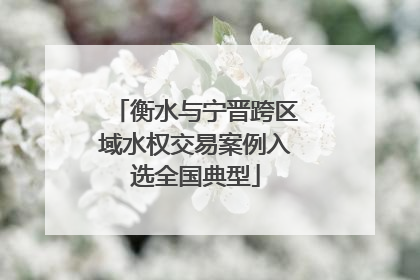 衡水与宁晋跨区域水权交易案例入选全国典型