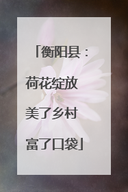衡阳县：荷花绽放 美了乡村 富了口袋