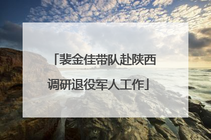 裴金佳带队赴陕西调研退役军人工作