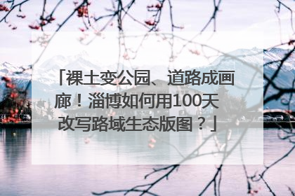 裸土变公园、道路成画廊！淄博如何用100天改写路域生态版图？