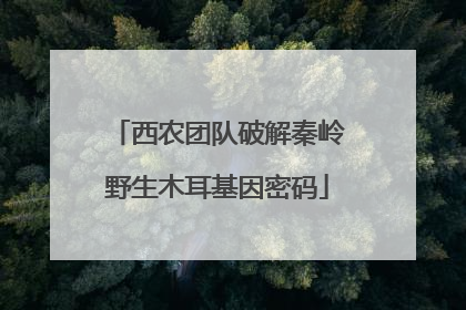 西农团队破解秦岭野生木耳基因密码