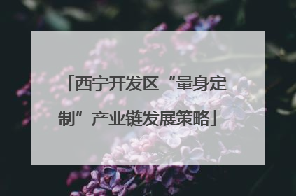 西宁开发区“量身定制”产业链发展策略