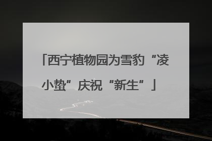 西宁植物园为雪豹“凌小蛰”庆祝“新生”