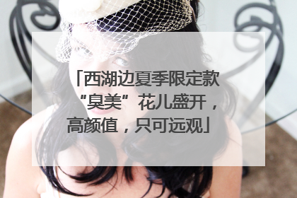 西湖边夏季限定款“臭美”花儿盛开，高颜值，只可远观