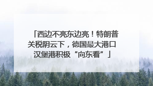 西边不亮东边亮！特朗普关税阴云下，德国最大港口汉堡港积极“向东看”