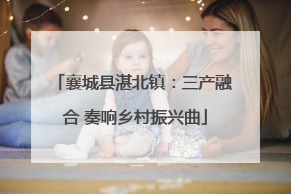 襄城县湛北镇：三产融合 奏响乡村振兴曲
