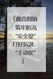 观音阁镇：筑牢防汛“安全堤” 打好抗洪“主动仗”