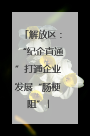 解放区：“纪企直通”打通企业发展“肠梗阻”