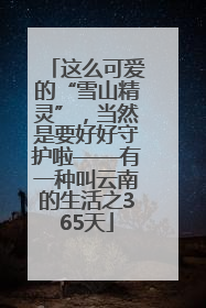 这么可爱的“雪山精灵”，当然是要好好守护啦——有一种叫云南的生活之365天