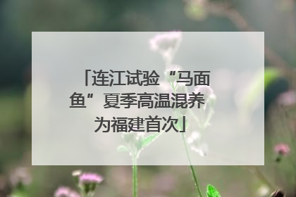连江试验“马面鱼”夏季高温混养 为福建首次