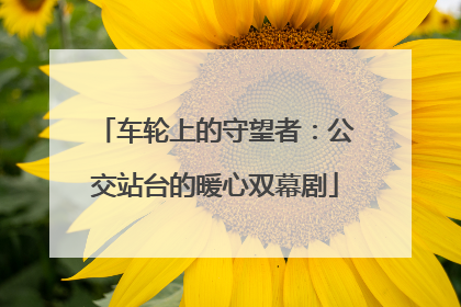 车轮上的守望者：公交站台的暖心双幕剧