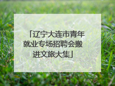 辽宁大连市青年就业专场招聘会搬进文旅大集