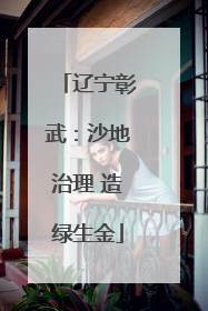 辽宁彰武：沙地治理 造绿生金