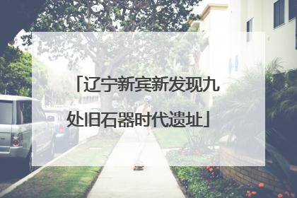 辽宁新宾新发现九处旧石器时代遗址