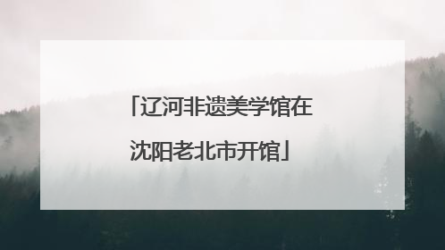 辽河非遗美学馆在沈阳老北市开馆