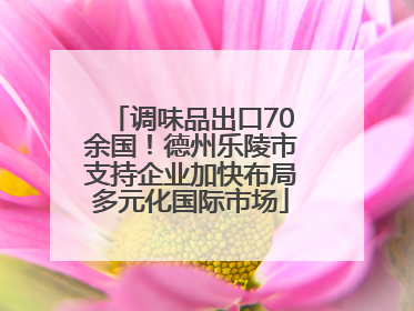 调味品出口70余国！德州乐陵市支持企业加快布局多元化国际市场