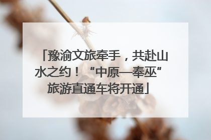 豫渝文旅牵手，共赴山水之约！“中原—奉巫”旅游直通车将开通