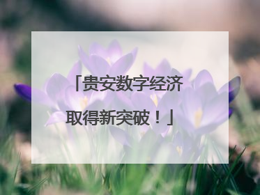 贵安数字经济取得新突破！