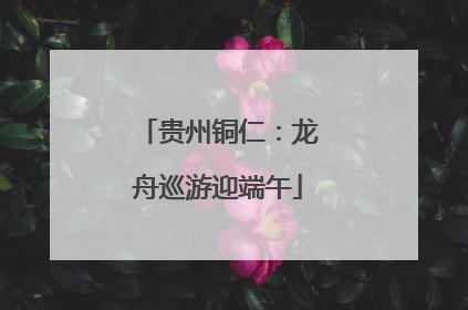 贵州铜仁：龙舟巡游迎端午