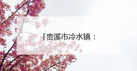 贵溪市冷水镇：“六字工作法”扎实推进二轮土地延包工作（图）