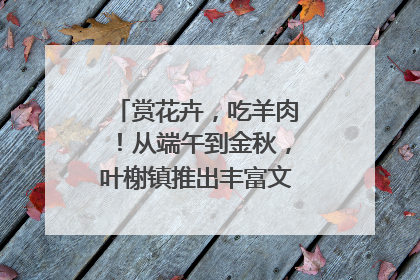 赏花卉，吃羊肉！从端午到金秋，叶榭镇推出丰富文旅活动邀您爽玩