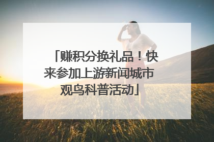赚积分换礼品！快来参加上游新闻城市观鸟科普活动