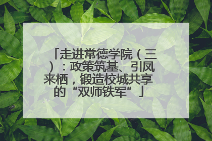 走进常德学院（三）：政策筑基、引凤来栖，锻造校城共享的“双师铁军”