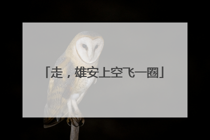 走，雄安上空飞一圈