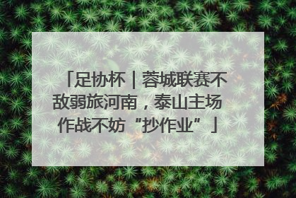 足协杯｜蓉城联赛不敌弱旅河南，泰山主场作战不妨“抄作业”