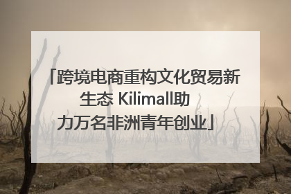 跨境电商重构文化贸易新生态 Kilimall助力万名非洲青年创业