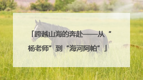 跨越山海的奔赴——从“杨老师”到“海河阿帕”