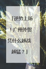 逆势上扬！广州外贸凭什么越战越猛？