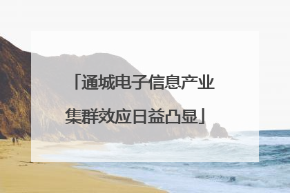 通城电子信息产业集群效应日益凸显
