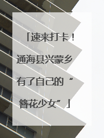 速来打卡！通海县兴蒙乡有了自己的“簪花少女”