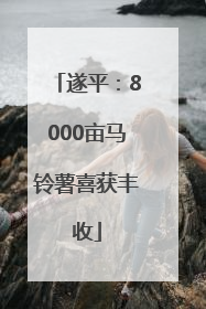 遂平：8000亩马铃薯喜获丰收