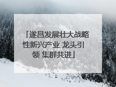 遂昌发展壮大战略性新兴产业 龙头引领 集群共进